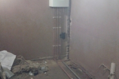 IMG_0165